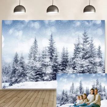 Žiemos Stebuklų Fotografijos Foną, Miško, Sniego, Medžių Šventės Kalėdos, Kalėdos Šalis Nuotrauka Fone Reklama Apdaila